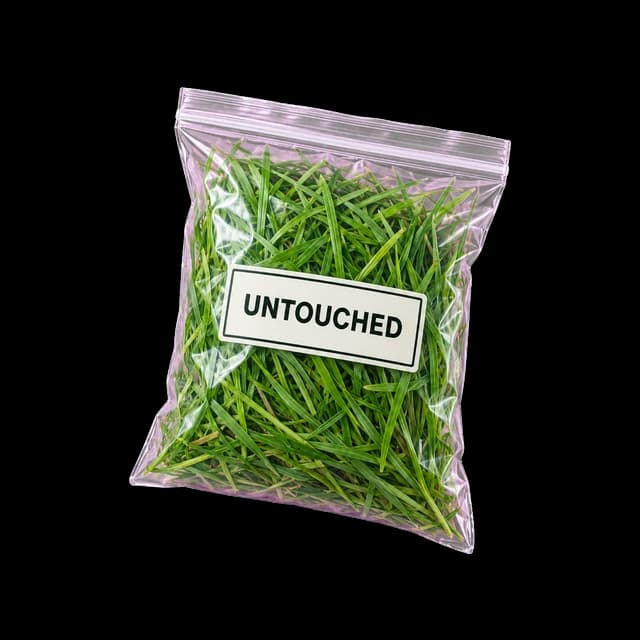 Grass (never touched)