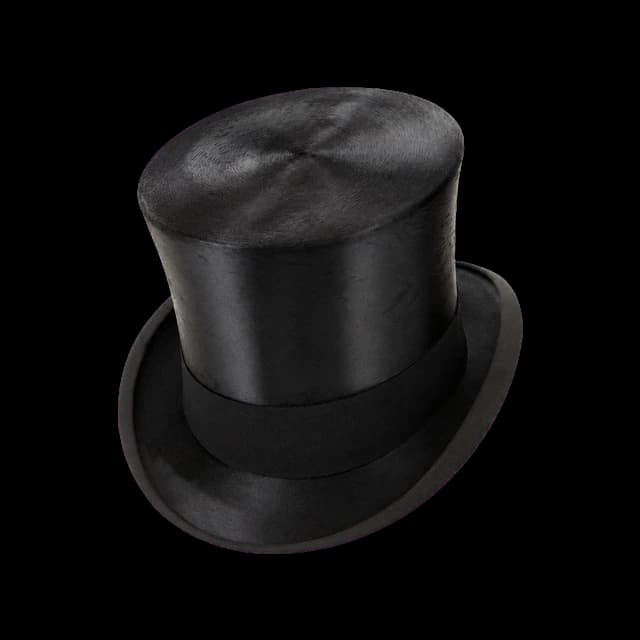 Silk top hat